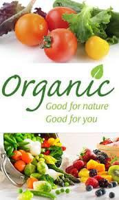 Natural Organic Vegetables, for Cooking, Feature : Delicious, Freshness