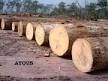 Okan Round Logs For Sale
