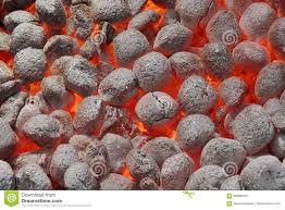 DOMESTIC FUEL Coconut Charcoal Briquettes