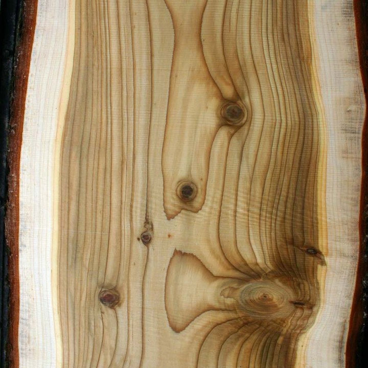 Himalayan Organic Cedar wood