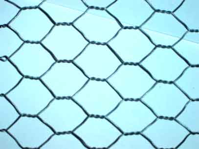 Stanless Steel Hexagonal Wire Mesh