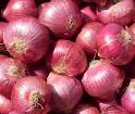 Onion, Color : Red