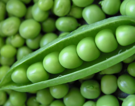 Eco Green Peas
