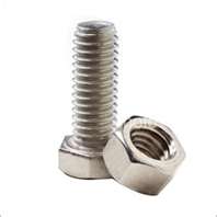 Ss Nut Bolt