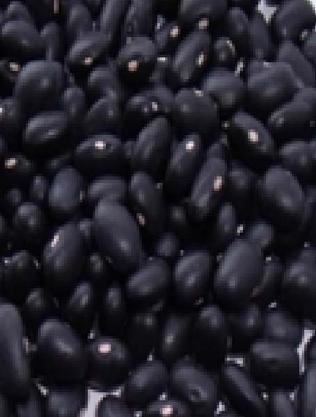 Black Kidney Bean