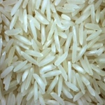 Common basmati rice, for Food, Form : Solid