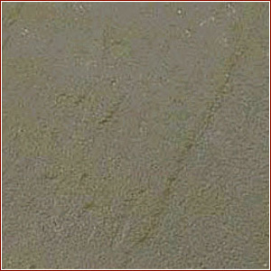 Raj Green Sandstone