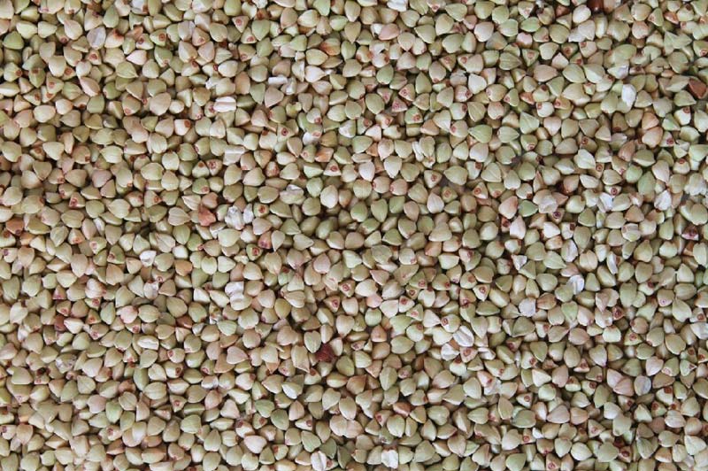 Buckwheat (Kuttu & Ragi)