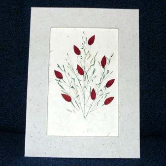 Greeting Cards-02