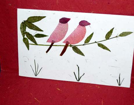 Greeting Cards-04