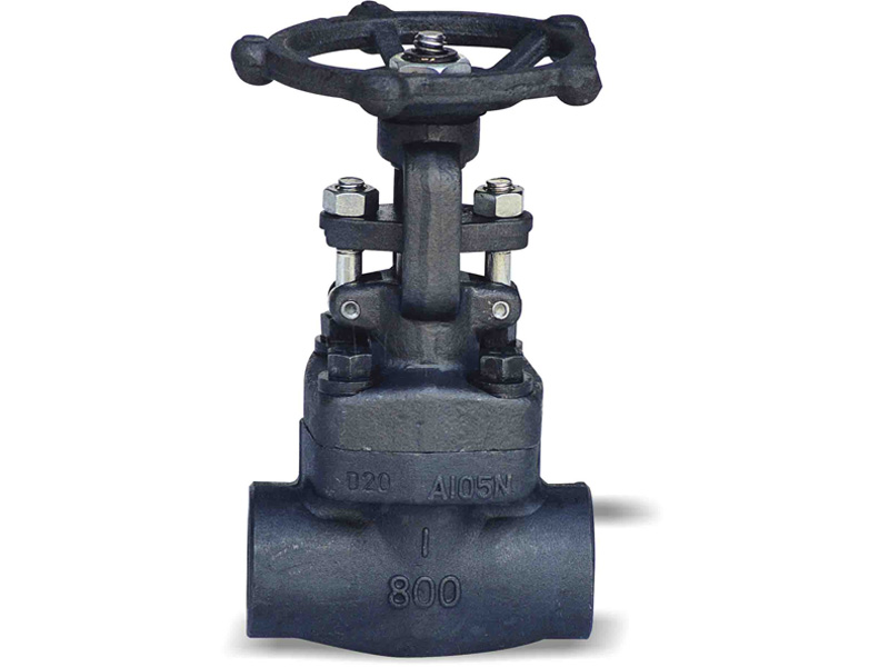 Forged Steel Globe Valve