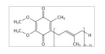 Coenzyme Q10 Capsules (30mg)