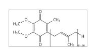 Coenzyme Q10 Capsules (60mg)