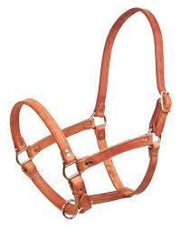 Horse Leather Halters