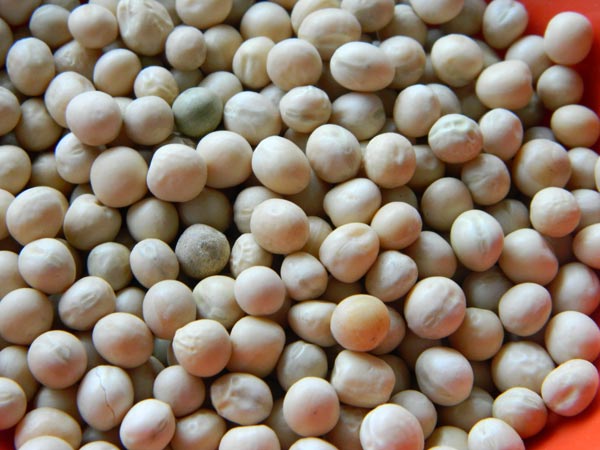 White Peas