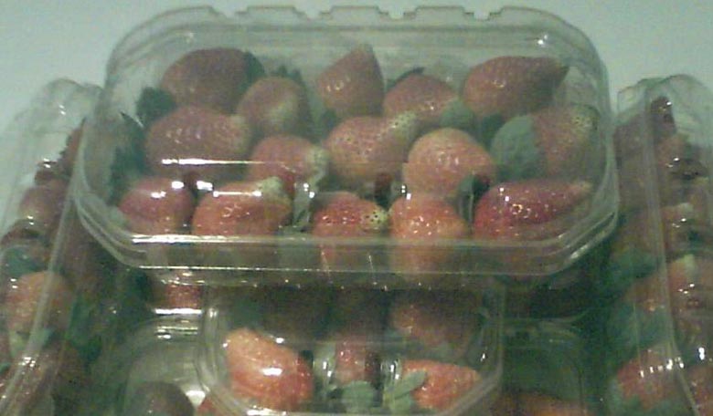 Strawberry Punnets
