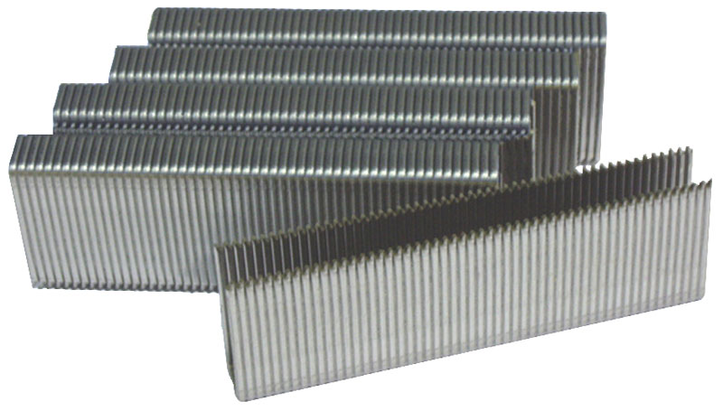 Stainless Steel Staple Pins