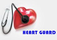 Keva Anti Radiation Heart Guard