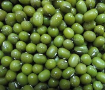 green mung beans