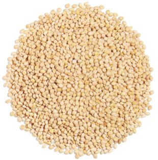 Millet