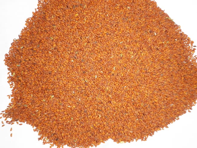 Common Asaliya Seeds, for Cattle Feed, Medicine, Feature : Free From Impurities, Good Taste, Well Packed
