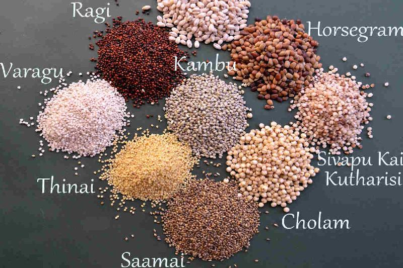 millets-prove-tasty-solution-to-climate-and-food-security-challenges