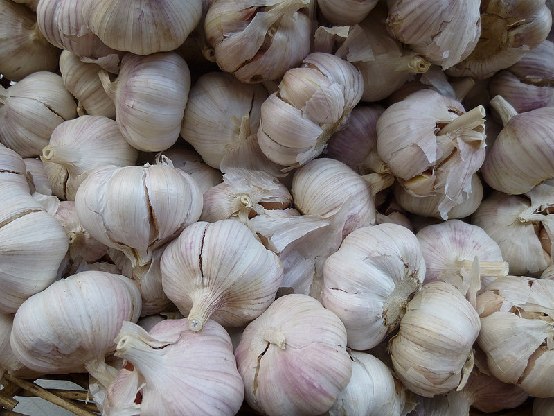 Ooty garlic/ Hill garlic