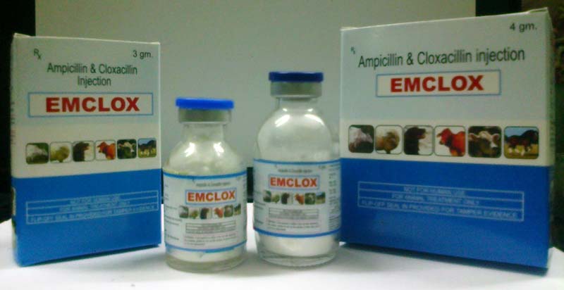 Emclox Injectable
