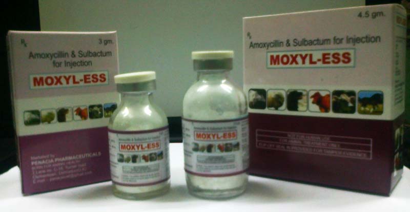Moxyl-Ess Injectable