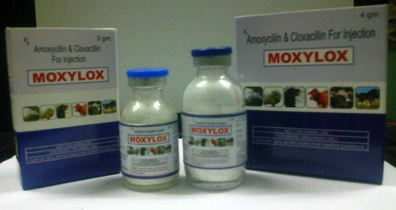 Moxylox Injectable