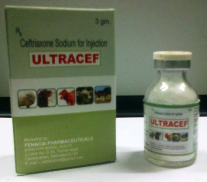 Ultracef Injectable