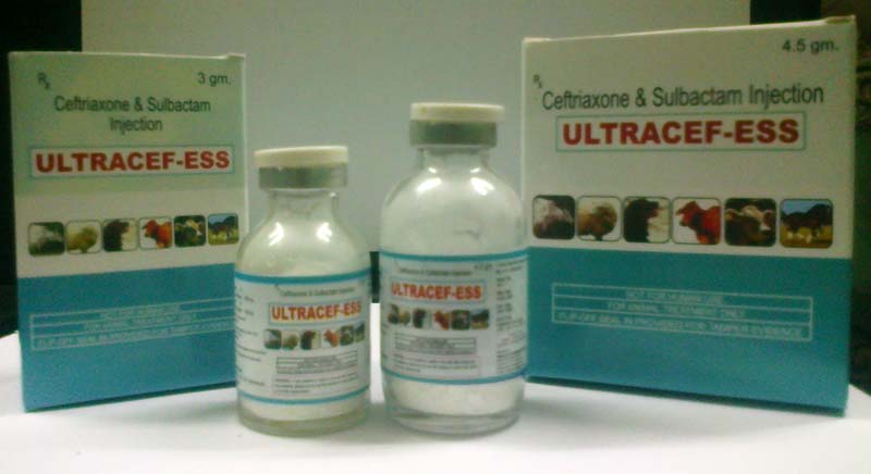 Ultracef-Tazo Injectable