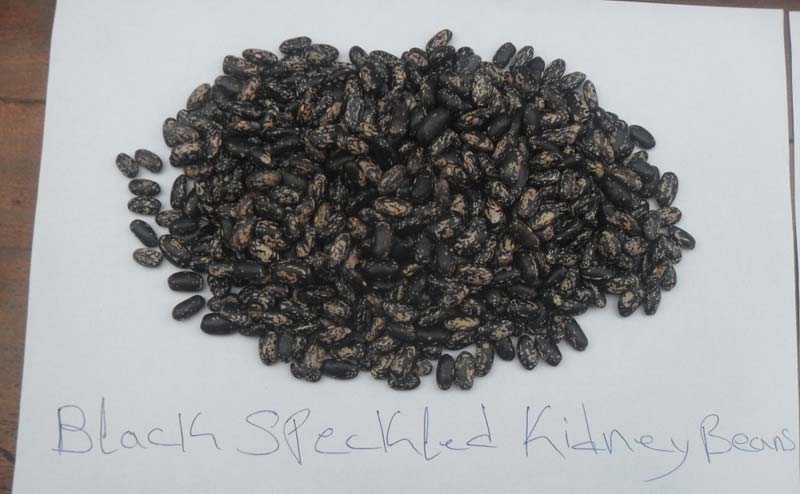 Black Speckled Kidney Beans