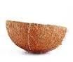 coconut shell