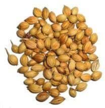 coriander seed
