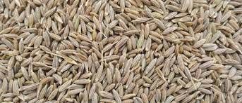 cumin seeds