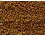 fenugreek seeds