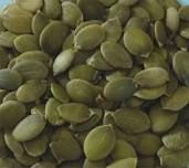 Pumpkin Seed Kernels