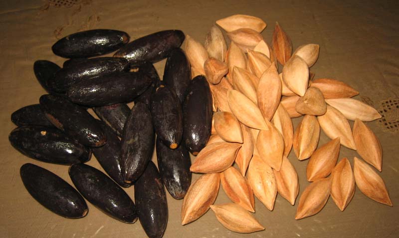 Pili Nuts