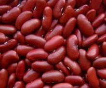 High Quality Red Kidney Bean