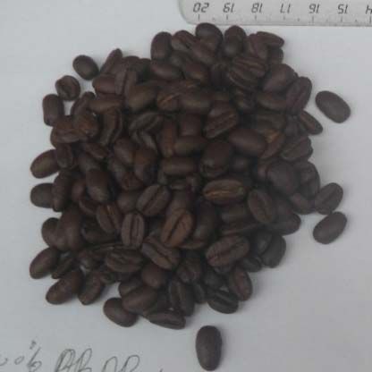 Roast Arabica Coffee Beans