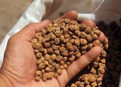 Tiger Nuts Chufa