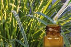 citronella oil