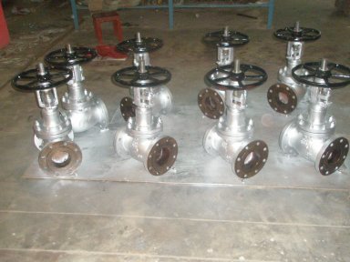 SG WCB globe valve