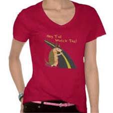Ladies V Neck T Shirt