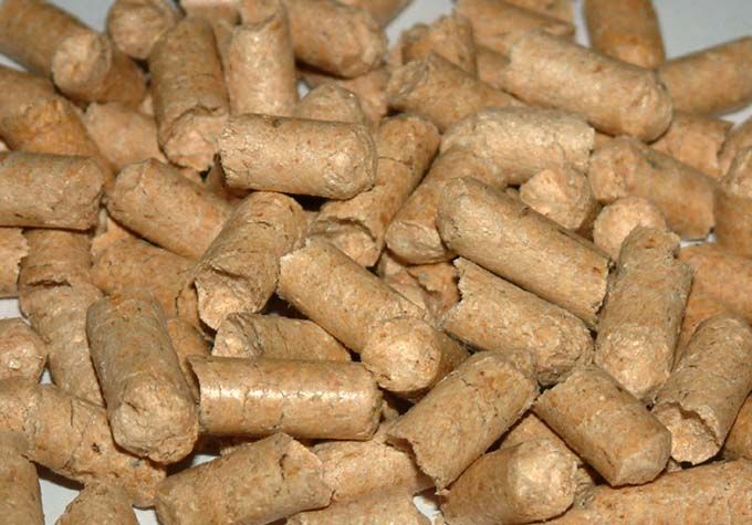 Wood Briquettes