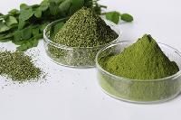 Moringa Products