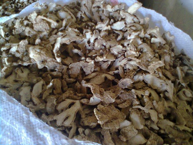 dried ginger