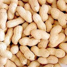 Natural Shelled Peanuts, for Making Flour, Making Oil, Making Snacks, Feature : Good For Health, Longer Shelf Life