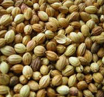 Coriander Seeds